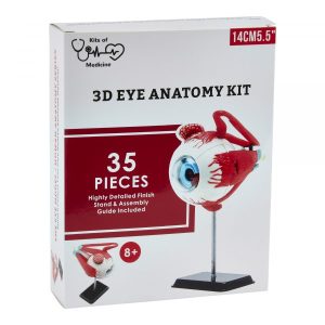 Kit anatomía ocular 35 piezas - Imagen 4